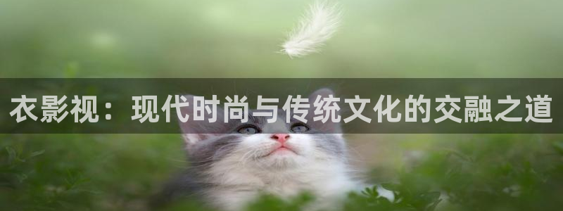 西瓜免费观看：衣影视：现代时尚与传统文化的交融之道