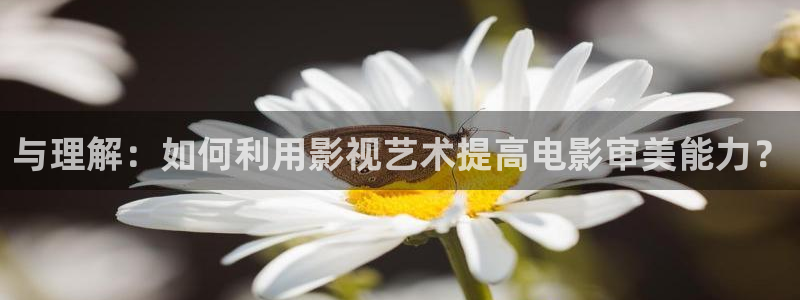 西瓜视频,：与理解：如何利用影视艺术提高电影审美能力？