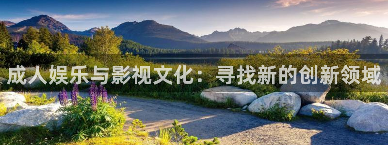 西瓜视频网站免费观看：成人娱乐与影视文化：寻找新的创新领域