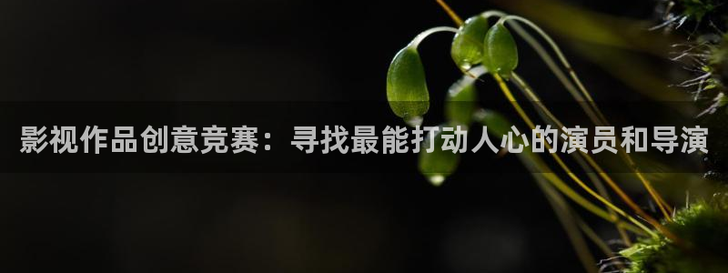 西瓜西瓜视频：影视作品创意竞赛：寻找最能打动人心的演员和导演