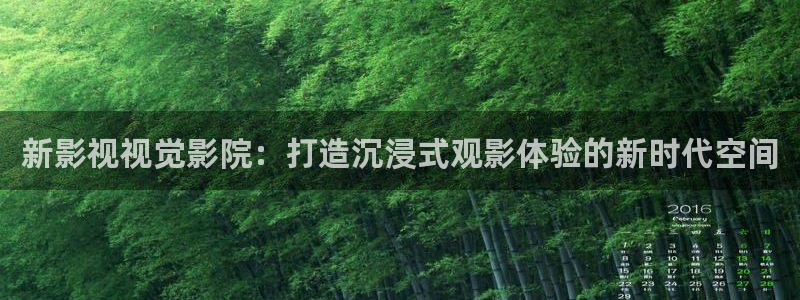 韩国电影夹西瓜：新影视视觉影院：打造沉浸式观影体验的新时代空间